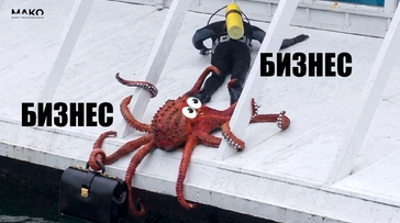 Что такое B2B-продажи, какие техники и методы помогают продавать больше в 2026 году
