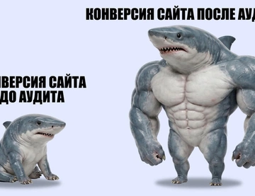 Что такое конверсия сайта, как ее посчитать и повысить в 2026 году